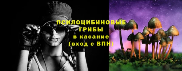 прущие грибы Беломорск