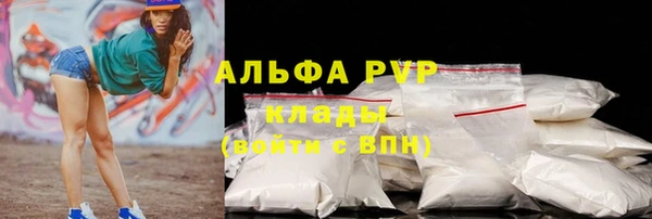 прущие грибы Беломорск