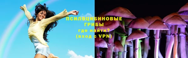прущие грибы Белоозёрский