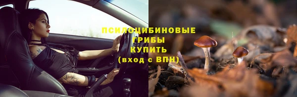 первитин Белокуриха