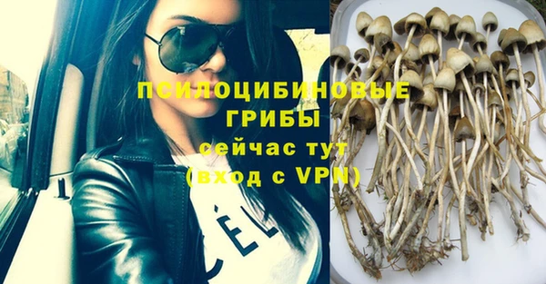 первитин Белокуриха