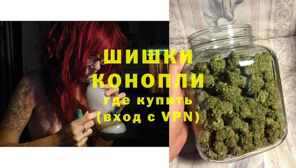 прущие грибы Белоозёрский