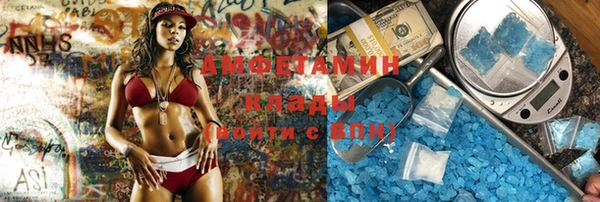 прущие грибы Беломорск