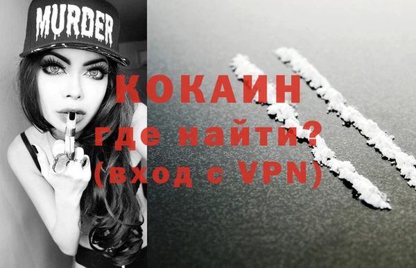 прущие грибы Беломорск