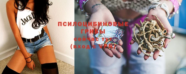 прущие грибы Белоозёрский