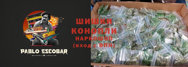прущие грибы Белоозёрский