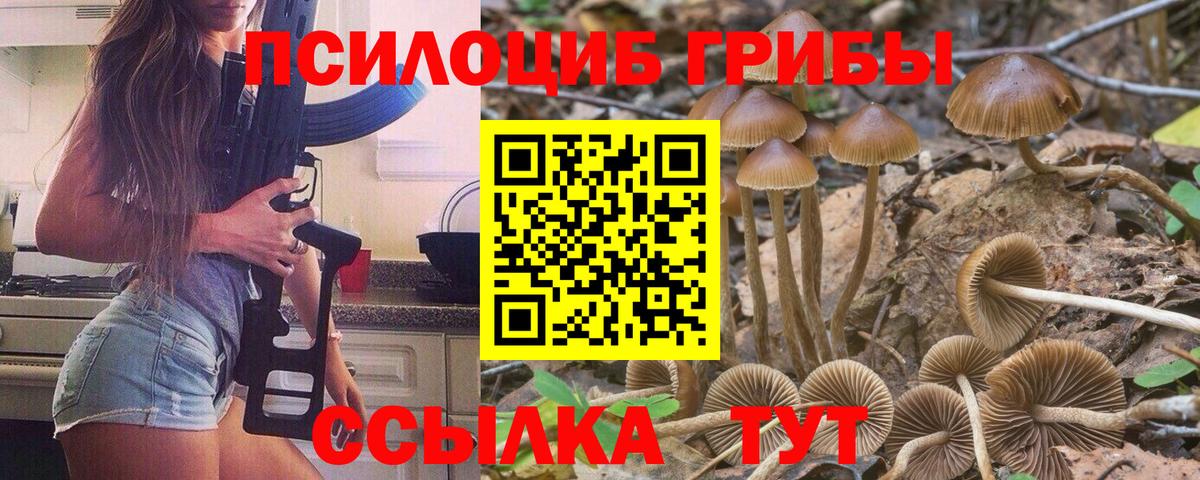 Псилоцибиновые грибы GOLDEN TEACHER  Вход с VPN  Печора 